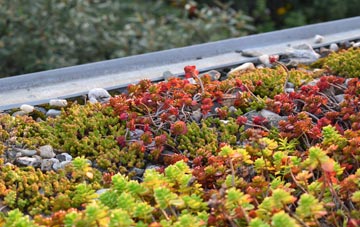 the cost of Steppingley green roof installation