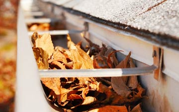 Steppingley gutter cleaning companies