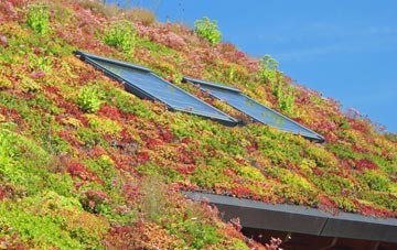 Steppingley living roof systems
