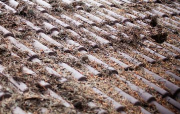 Steppingley roof cleaning companies